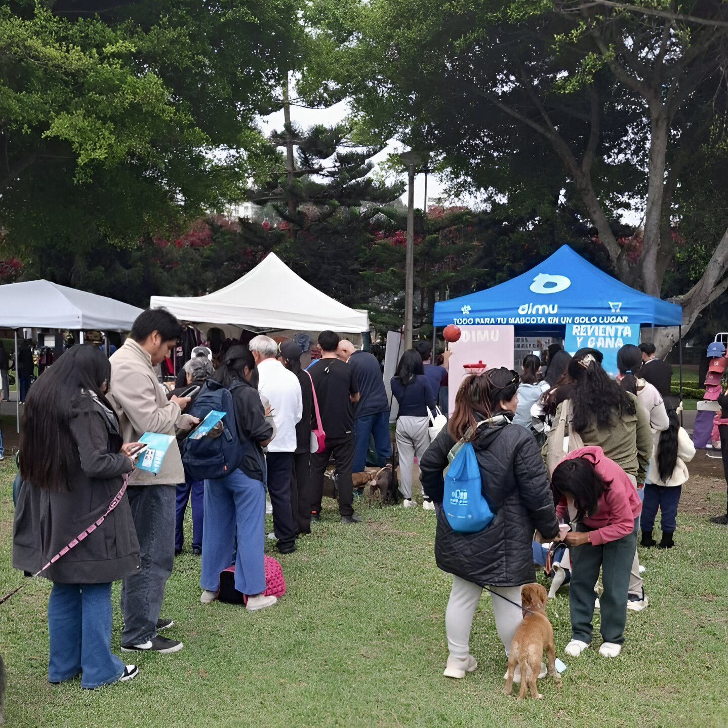 Veterinaria partner de DIMU