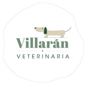 vv